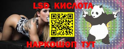 амф Краснодар