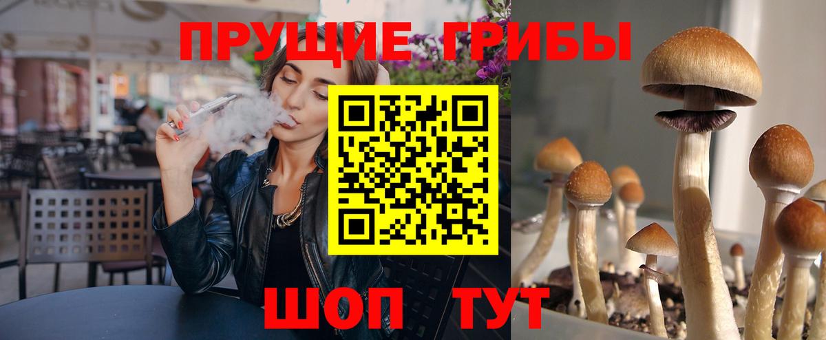 Корсаков  Галлюциногенные грибы мицелий  Галлюциногенные грибы MAGIC MUSHROOMS  Вход с VPN 